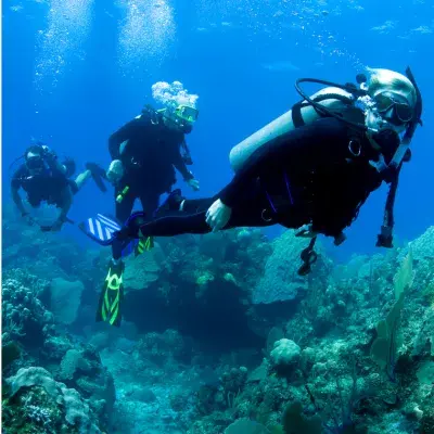 Cursos PADI Cambrils