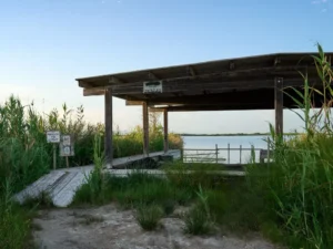 Delta del Ebre