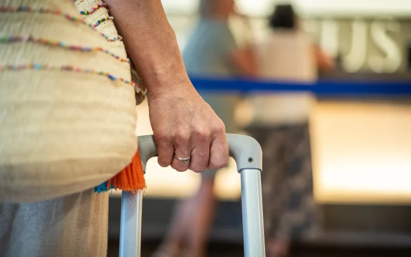 oferta ruleta augustus